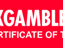 Evolution Gaming logo